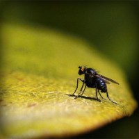 /album/giulias-place/photolia-a07-jpg/